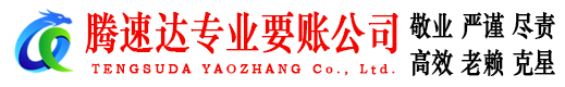 平原腾速达清债公司